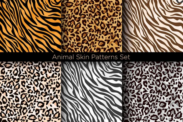 Vektoros illusztráció készlet-ból állat zökkenőmentes nyomtatja ki. Tigris- és leopárdbőr minták gyűjtése, a különböző színű lapos stílusú. — Stock Vector