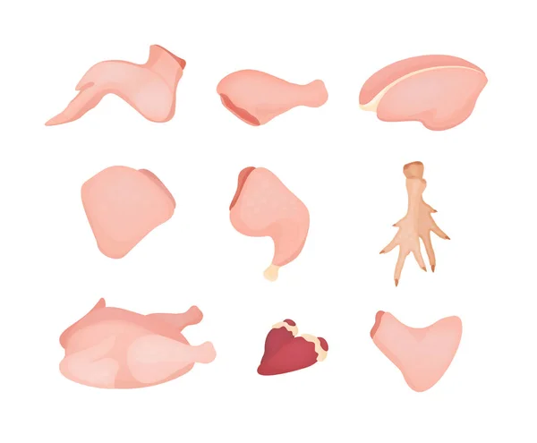 Illustrazione vettoriale set di carne di pollo colorata. Diverse parti di pollo in stile realistico isolato su sfondo bianco. Filetto di pollo, ala, cuore e raccolta di prosciutto . — Vettoriale Stock