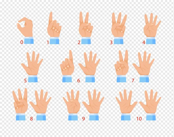 A kezek vektoros illusztrációja különböző gesztusokban, amelyek különböző számokat mutatnak az ujjakon. Átlátszó háttéren izolált síkrajzfilm kivitel. — Stock Vector