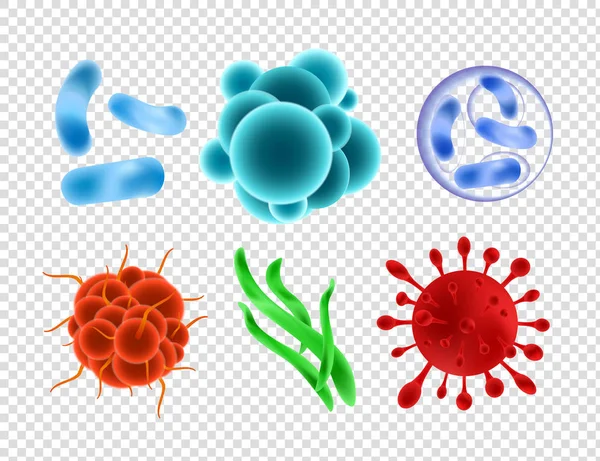 Conjunto de ilustración vectorial de bacterias y virus, parásitos, células microscópicas de primer plano aisladas sobre fondo transparente. Recogida de microorganismos, microbios . — Vector de stock