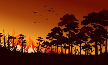 Orman düz vektör illüstrasyonunda yangın. Alevlerin üzerinde uçan kuşlar. Vahşi ateş manzarası, yabanıl bölge. Doğal ekoloji felaketi. Geceleri yanan ağaçlar ve yanan odun. Alevli ormanlık.