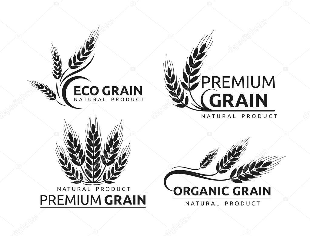 Premium grain flat vector logotype in black silhouette designs set. Organic cereal crops, natural product advertising. Ripe wheat ears cartoon illustrations with typography. Eco farm, bakery shop logo