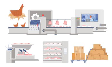 Tavuktan tavuğa zincirleme üretim, denetçi çizgi filminin kontrolüyle kümes hayvanları işleme. Tavuk eti üretim fabrikası, otomasyon kasaplığı süreci, mezbaha üretimi.