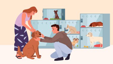 Mutlu çift sokak köpeğini evlat ediniyor, aileye evlatlık veriyor. İki evcil hayvan sahibi, sevimli köpek yavrusuyla ayakta duruyor. Sarılmalar ve sevgiler, bir erkek ve bir kadından diğerine.