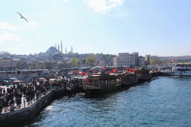 modern İstanbul kentsel ormanı