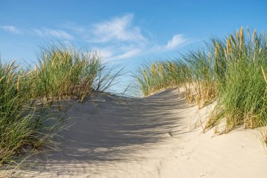 Kum tepecikleri ve mavi gökyüzü ve bulutları olan marram çimenleri. Skagen Nordstrand, Danimarka. Skagerrak, Kattegat.