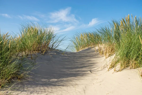 Spiaggia con dune di sabbia e marram erba con cielo blu e nuvole. Skagen Nordstrand, Danimarca. Skagerrak, Kattegat . — Foto Stock