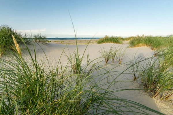 Pláž s písečnými dunami a marram tráva v měkkém svitu západu slunce. Skagen Nordstrand, Dánsko. Skagerrak, Kattegat. — Stock fotografie