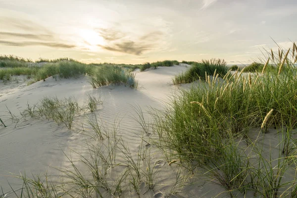 Plage avec des dunes de sable et de l'herbe de marram avec coucher de soleil doux contre la lumière. Skagen Nordstrand, Danemark. Skagerrak, Kattegat. — Photo