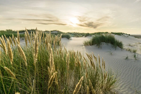 Strand med sanddyner och marram gräs med mjuk soluppgång solnedgång tillbaka ljus. Skagen Nordstrand, Danmark. Skagerrak, Kattegatt. — Stockfoto