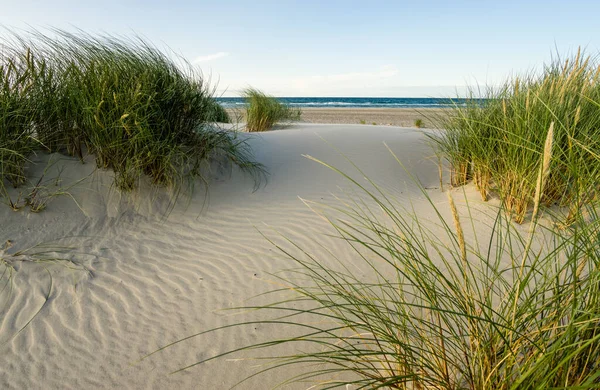 Strand met zandduinen en marram gras in zachte zonsopgang zonsondergang licht. Skagen Nordstrand, Denemarken. Skagerrak, Kattegat. — Stockfoto