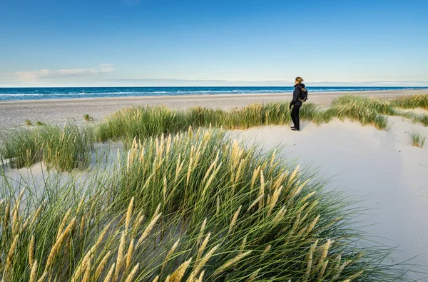 Jeune femme randonnée dans l'herbe des dunes côtières à la plage de la mer du Nord au lever du soleil doux lumière du coucher du soleil. Skagen Nordstrand, Danemark. Skagerrak, Kattegat . — Photo