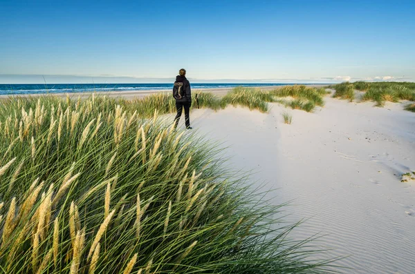 Ung kvinna vandring i kustnära sand sanddyn gräs på stranden i Nordsjön i mjuk soluppgång solnedgång ljus. Skagen Nordstrand, Danmark. Skagerrak, Kattegatt. — Stockfoto