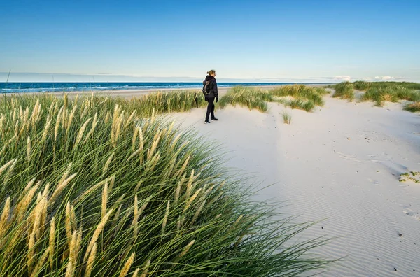 Ung kvinna vandring i kustnära sand sanddyn gräs på stranden i Nordsjön i mjuk soluppgång solnedgång ljus. Skagen Nordstrand, Danmark. Skagerrak, Kattegatt. — Stockfoto