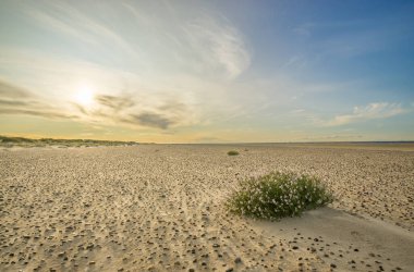 Büyük kumsalda çakıl taşları ve yumuşak gündoğumu günbatımı ışığında hafif deniz taşları çiçekleri. Skagen Nordstrand, Danimarka. Skagerrak, Kattegat.