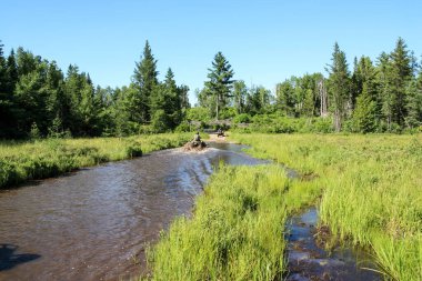 Üç adam ATV avlusunu ormanın kirli sularında sürüyor. Foy, Sudbury, Ontario, Kanada.