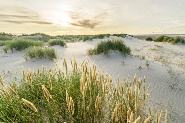 Spiaggia con dune di sabbia ed erba marram con morbida luce al tramonto. Skagen Nordstrand, Danimarca. Skagerrak, Kattegat. — Foto Stock