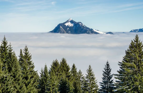 Dağ sisli bulut tabakasından çıkmış. Bulutlar denizi. Gruenten, Allgau, Almanya. — Stok fotoğraf