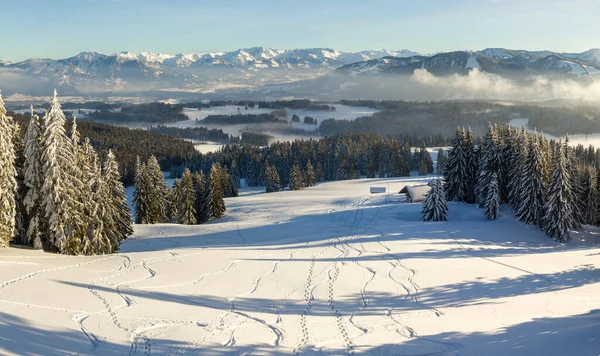 Vista panoramica stupefacente dalla montagna della neve con foresta alla catena montuosa nevosa e nebbiosa. Mountain Hut Klings Huette su Hauchenberg vicino a Diepolz ad Allgau, Baviera, Germania. — Foto Stock