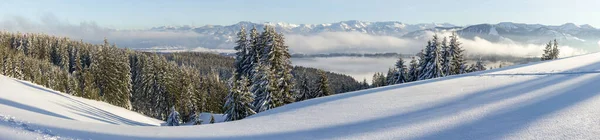 Incredibile vista panoramica dalla montagna delle nevi con foresta alla catena montuosa innevata sopra lo strato di nuvole nebbiose. Mare di nuvole. Hauchenberg vicino a Diepolz in Allgau, Baviera, Germania. — Foto Stock