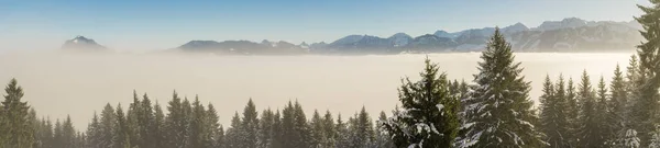 Kış panoramik manzarası karlı dağ sıralarının tepesinde orman ağaçlarıyla çevrili sis bulutları. Sabahın erken saatlerinde Oftersschwanger Horn 'dan Gruenten ve Allgauer Alplerine. — Stok fotoğraf