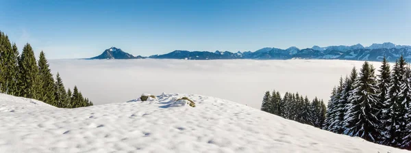 Amazing winter panoramic view to snowy Mountain Range above inversion fog clouds with forest trees. Sunny view from Oftersschwanger Horn to Gruenten and Allgauer Alps. — Stock Photo, Image