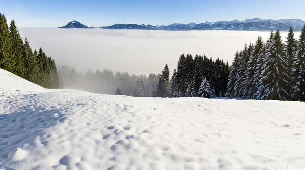 Amazing winter panoramic view to snowy Mountain Range above inversion fog clouds with forest trees. Sunny view from Oftersschwanger Horn to Gruenten and Allgauer Alps. — Stock Photo, Image