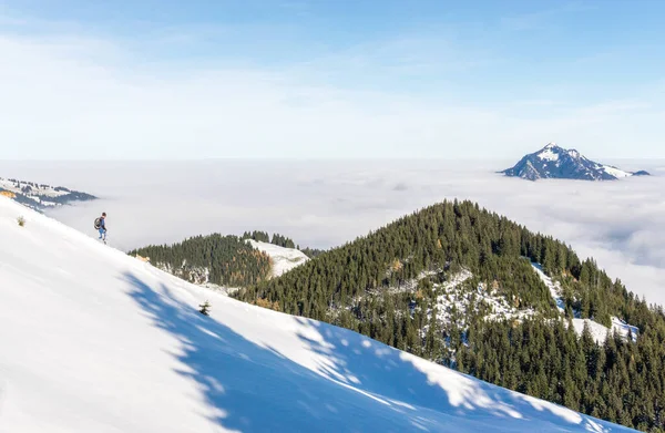 Man with two dogs running down snow mountain with amazing view to mountains above inversion valley fog layer. Sea of clouds. View from Rangiswangerhorn, Alps, Allgau, Bavaria, Germany. — Stock Photo, Image