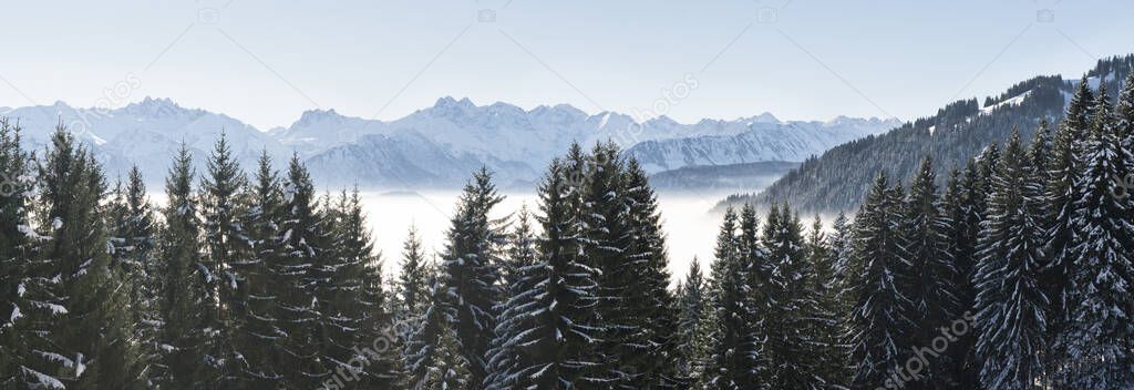 Forested mountain slope and mountain range panorama with snow in low lying valley fog with silhouettes of evergreen conifers shrouded in mist. Snowy winter landscape in Alps, Allgau.