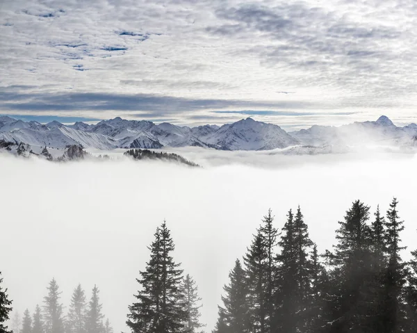 A neve cobriu montanhas com nevoeiro do vale de inversão e árvores envoltas em névoa. Cenic snowy winter landscape in Alps, Allgau, Kleinwalsertal, Baviera, Alemanha . — Fotografia de Stock