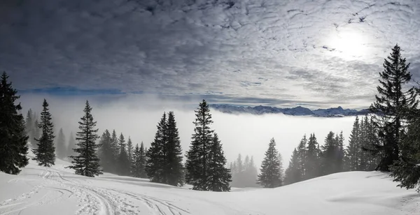 Montagne innevate con nebbia valle inversione e alberi avvolti nella nebbia. Panoramico paesaggio invernale innevato nelle Alpi al mattino all'alba. Allgau, Kleinwalsertal, Baviera, Germania. — Foto Stock