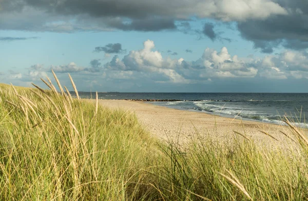 Spiaggia con dune di sabbia ed erba marram, cielo blu e nuvole in morbida luce del tramonto serale. Hvidbjerg Strand, Blavand, Mare del Nord, Danimarca. — Foto Stock