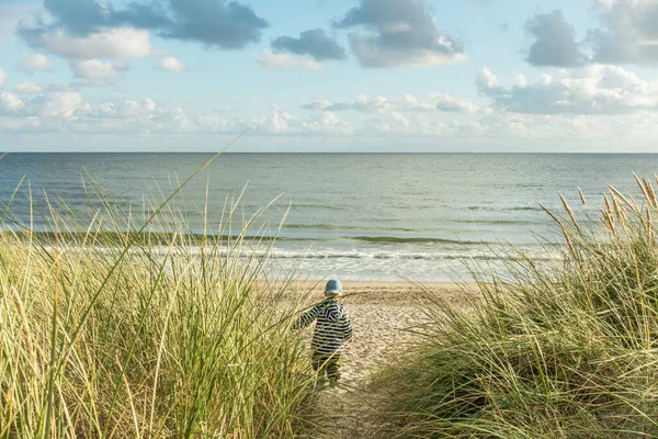 Mały 2-letni chłopiec spacerujący po wydmie z trawą do plaży oceanicznej. Hvidbjerg Strand, Blavand, Morze Północne, Dania. — Zdjęcie stockowe