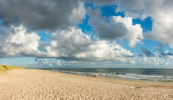 Strandpanorama mit Menschen und Hunden. Blauer Himmel und dramatische Wolken am Ufer der Küste im sanften Abendlicht des Sonnenuntergangs. Hvidbjerg Strand, Blavand, Nordsee, Dänemark. — Stockfoto