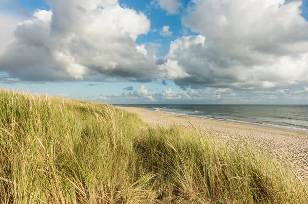 Παραλία με αμμόλοφους και marram γρασίδι, μπλε ουρανό και σύννεφα σε απαλό φως ηλιοβασίλεμα βράδυ. Hvidbjerg Strand, Blavand, Βόρεια Θάλασσα, Δανία. — Φωτογραφία Αρχείου