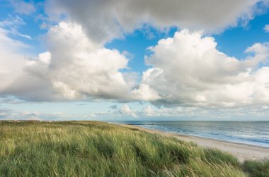 Kumsalda kum tepeleri ve marram otları, mavi gökyüzü ve yumuşak akşam günbatımında bulutlar. Hvidbjerg Strand, Blavand, Kuzey Denizi, Danimarka.