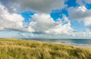Kumsalda kum tepeleri ve marram otları, mavi gökyüzü ve yumuşak akşam günbatımında bulutlar. Hvidbjerg Strand, Blavand, Kuzey Denizi, Danimarka.