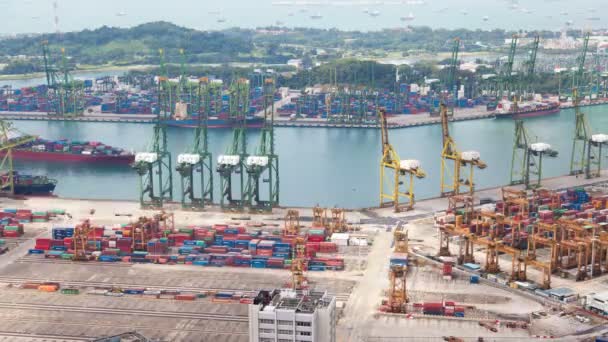 Konteyner terminal Singapur timelapse demirleme — Stok video
