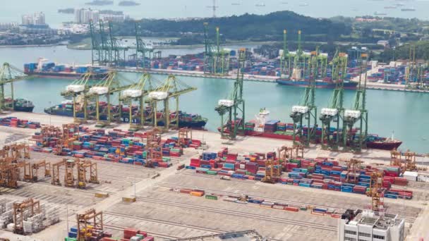 Laden en lossen van het schip in de haven Singapore timelapse — Stockvideo