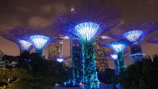 Singapur Supertree Grove noc chmury time-lapse — Wideo stockowe