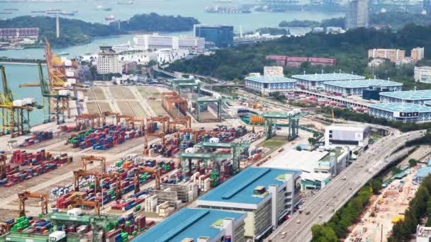 Dźwigów do przeładunku kontenerów w port terminal Singapur timelapse — Wideo stockowe