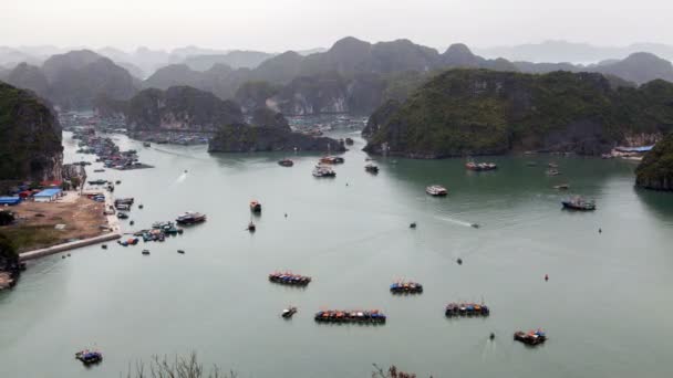 Boten in Cat Ba eiland, Ha Long Bay, Vietnam timelapse — Stockvideo