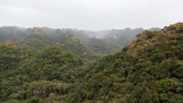 Parque Nacional de Cat Ba, Ha Long Bay, Vietnam timelapse — Vídeos de Stock