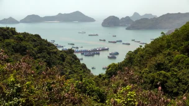 Montaña de Karst Cat Ba Island, Ha Long Bay, Vietnam timelapse — Vídeo de stock