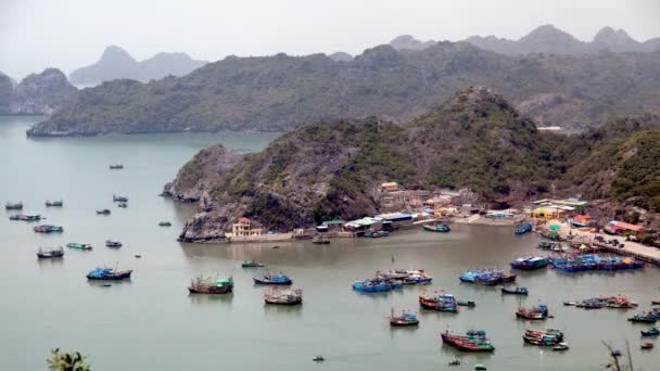 Время для рыбалки на острове Кот-Ба, Халонг-Бей, Вьетнам — стоковое видео