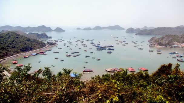 Ландшафт острова Кэт Ба с лодками, Ha Long Bay, Вьетнам Timelapse — стоковое видео