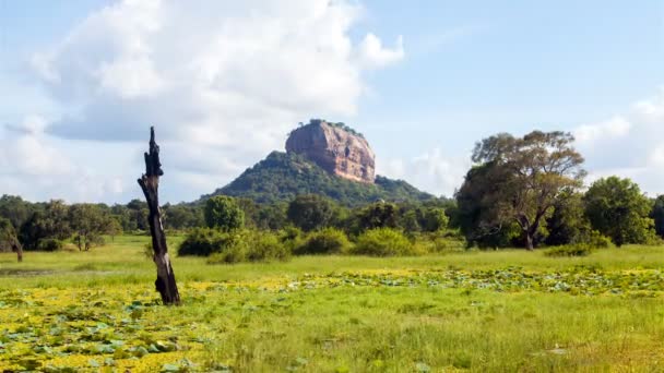 Sigiriya Lion Rock paisaje una vista desde la selva, Sri Lanka timelapse — Vídeos de Stock