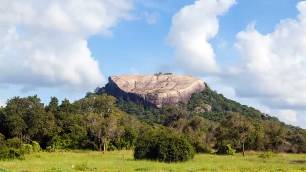 Una vista desde la selva Pidurangala Rock paisaje, Sri Lanka timelapse — Vídeos de Stock