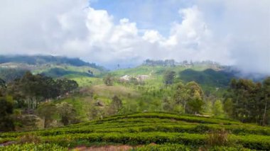 dağlar çay tarlaları manzara, Sri Lanka timelapse 4k