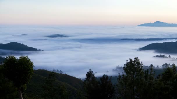 Paisaje del amanecer en las montañas del bosque con una niebla, Sri Lanka timelapse — Vídeo de stock